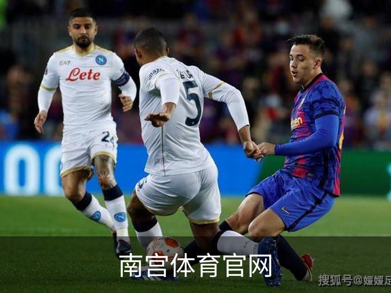 南宫体育官网简介